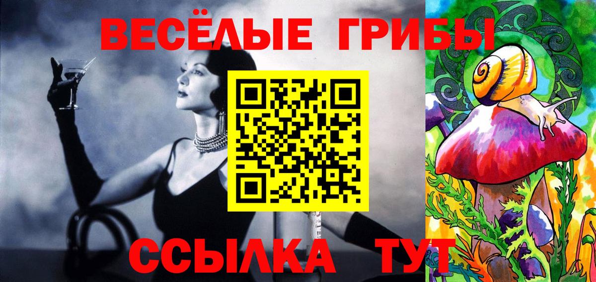 Галлюциногенные грибы MAGIC MUSHROOMS  цена   Балашиха  Псилоцибиновые грибы MAGIC MUSHROOMS  Вход с VPN 